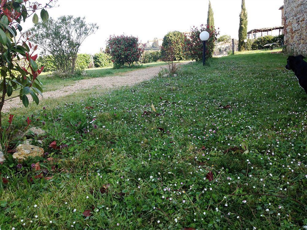 B&B Il Pozzo Di Radi Monteroni d'Arbia Bagian luar foto