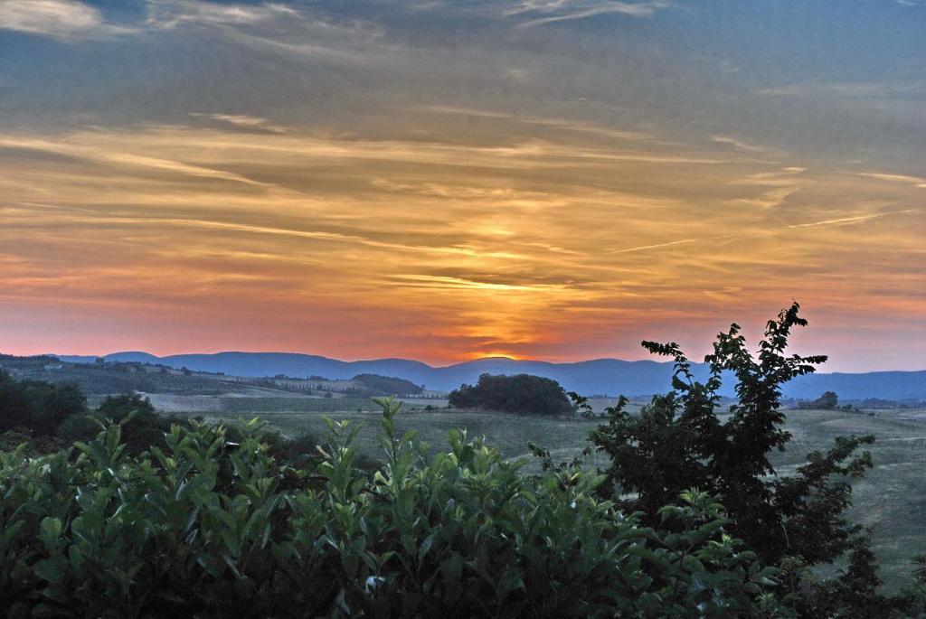 B&B Il Pozzo Di Radi Monteroni d'Arbia Bagian luar foto